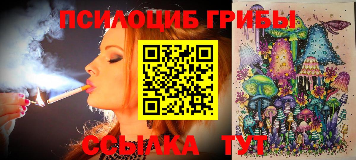 Галлюциногенные грибы прущие грибы  Галлюциногенные грибы GOLDEN TEACHER  Вход с VPN  Брянск 