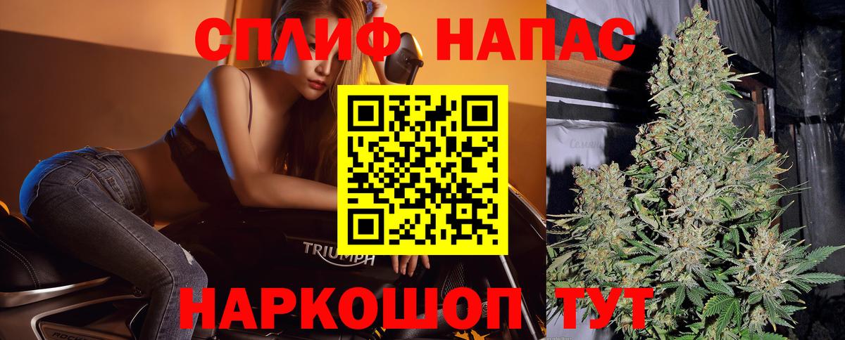Канабис планчик Брянск